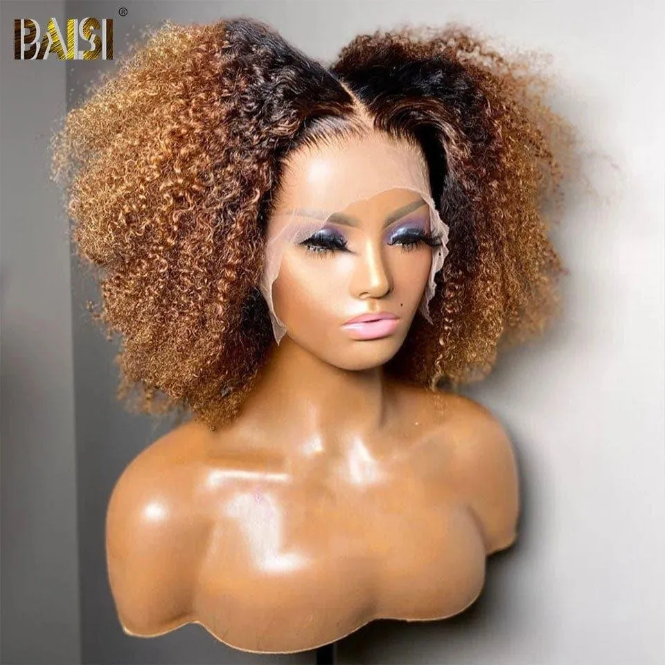 BAISI Elegant Bouncy Curly 1b27 Wig