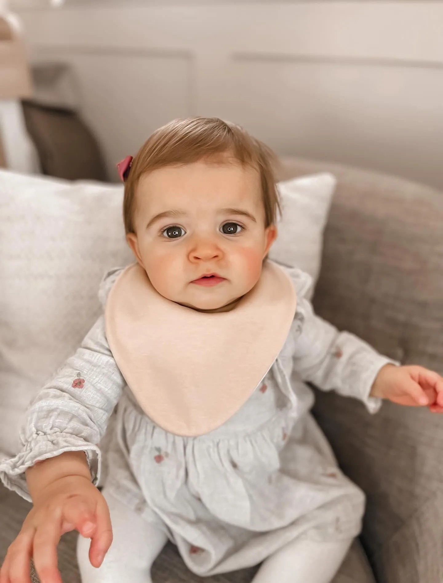 Beige Bib Waterproof Dribble Bib