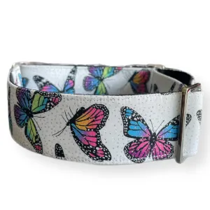 Butterflies on white with silver sparkles Cotton covered greyhound Martingale collar available in two widths