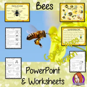 Distance Learning Bees Google Slides Lesson