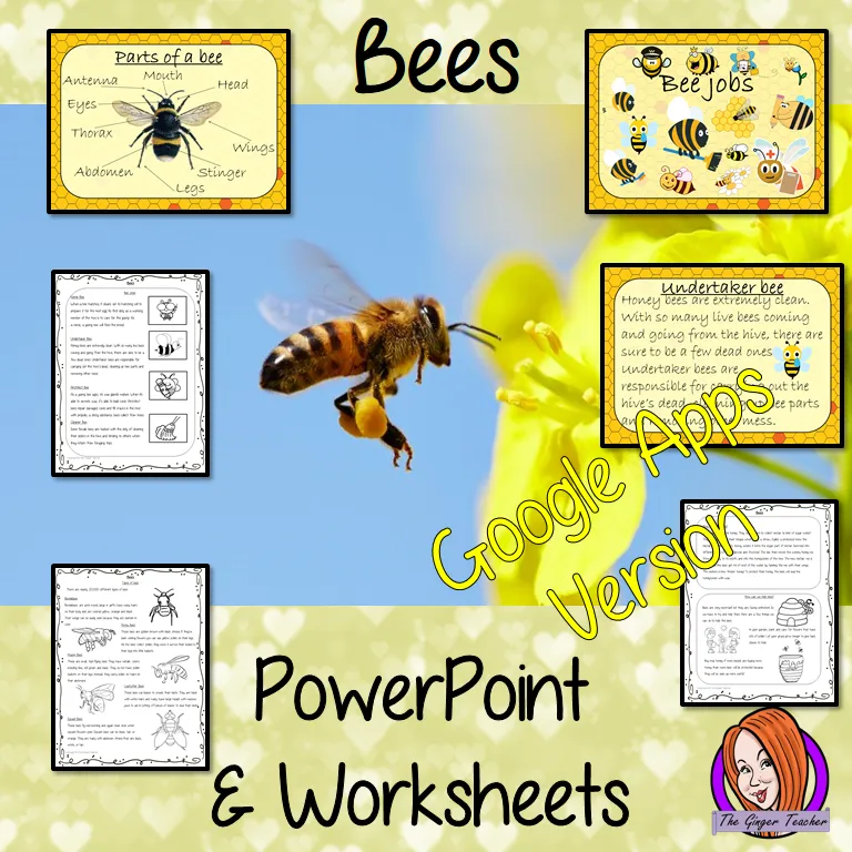 Distance Learning Bees Google Slides Lesson