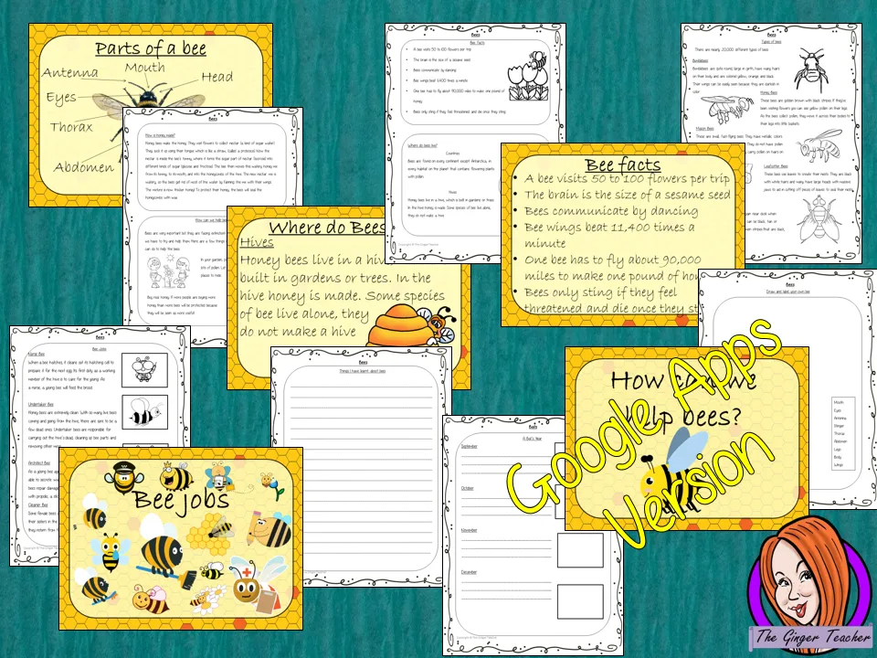 Distance Learning Bees Google Slides Lesson