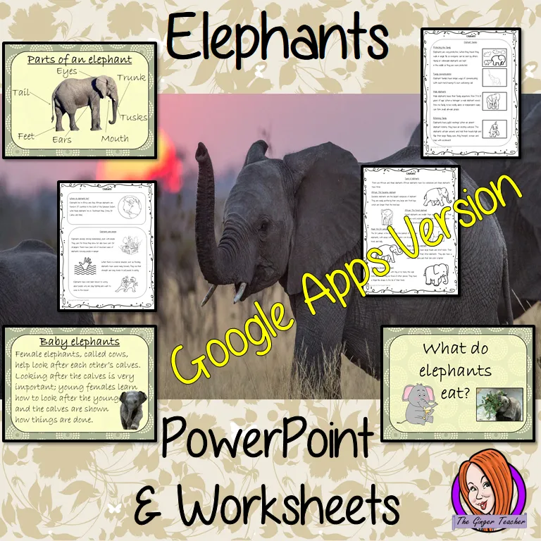 Distance Learning Elephants Google Slides Lesson