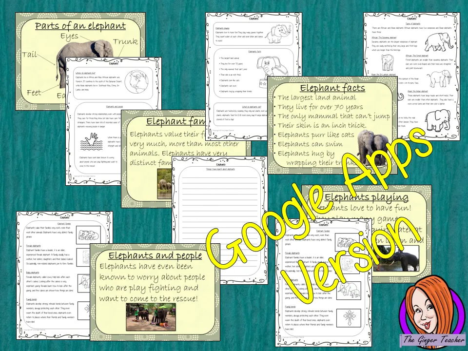 Distance Learning Elephants Google Slides Lesson