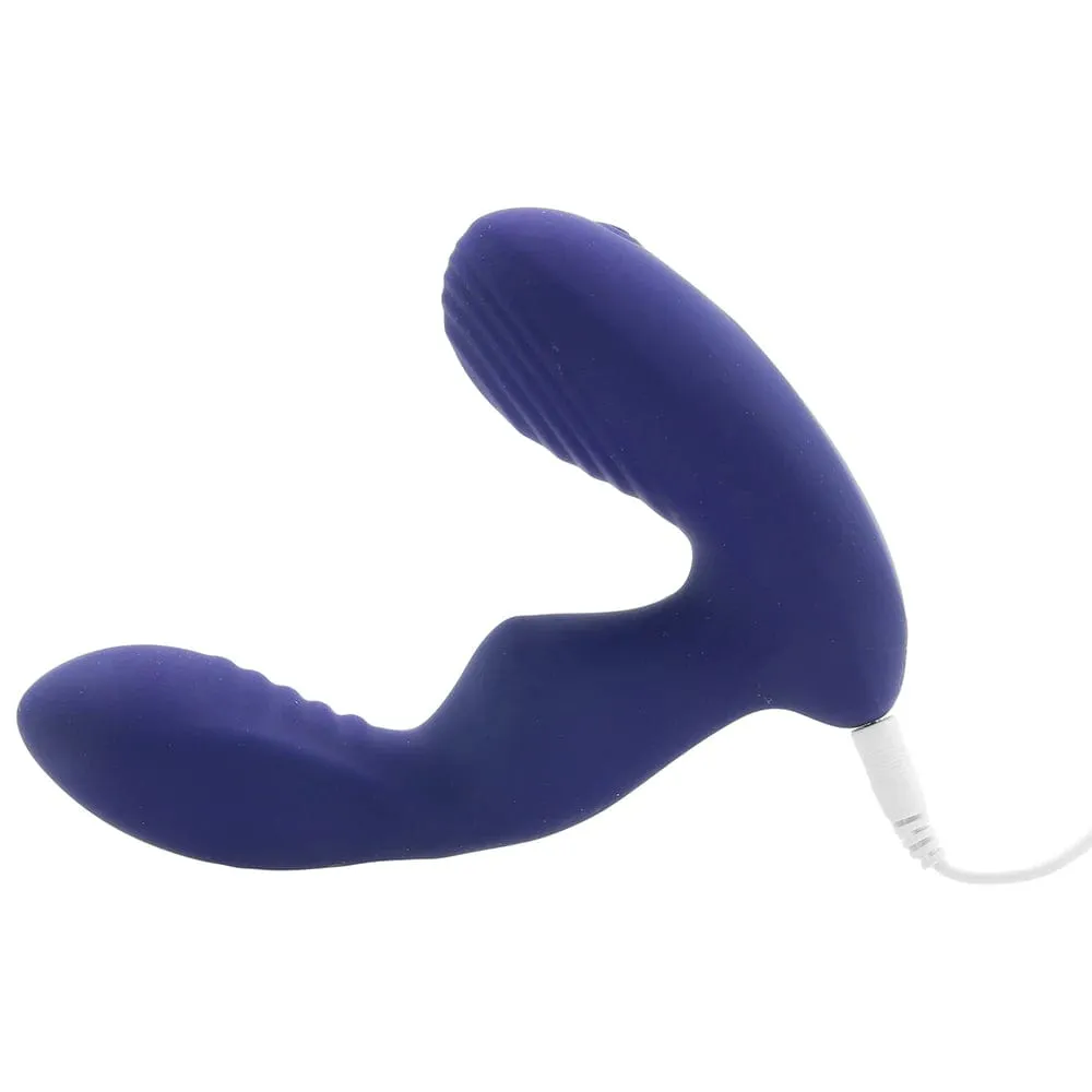Evolved Novelties The Rocker Remote Prostate Massager