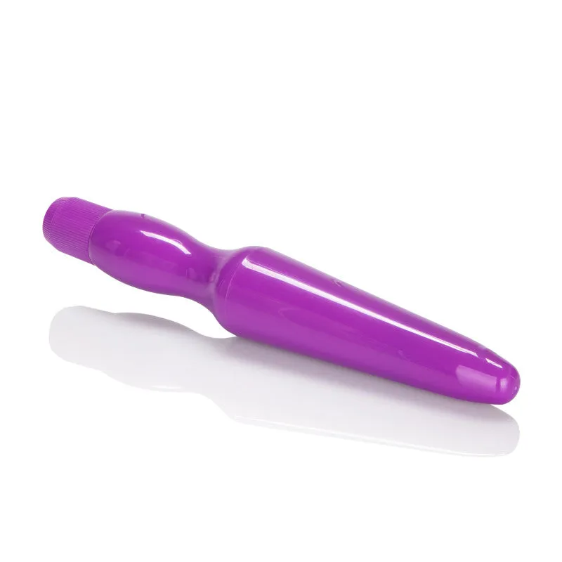 Fujikos Waterproof Anal Probe Purple