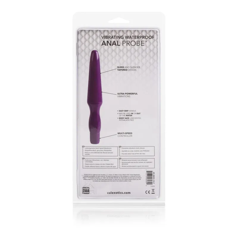Fujikos Waterproof Anal Probe Purple