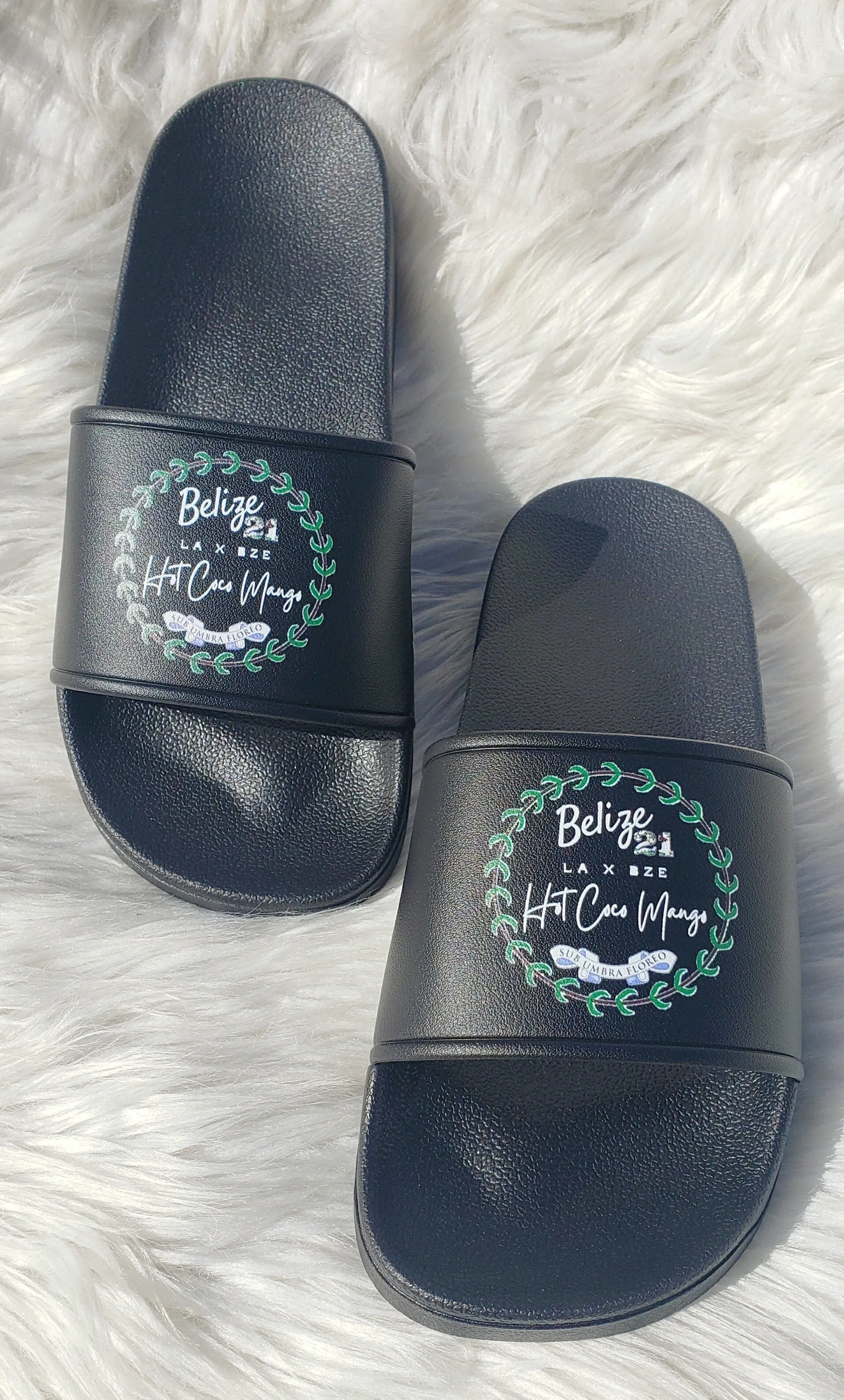 HCM x BZE 21 Slides