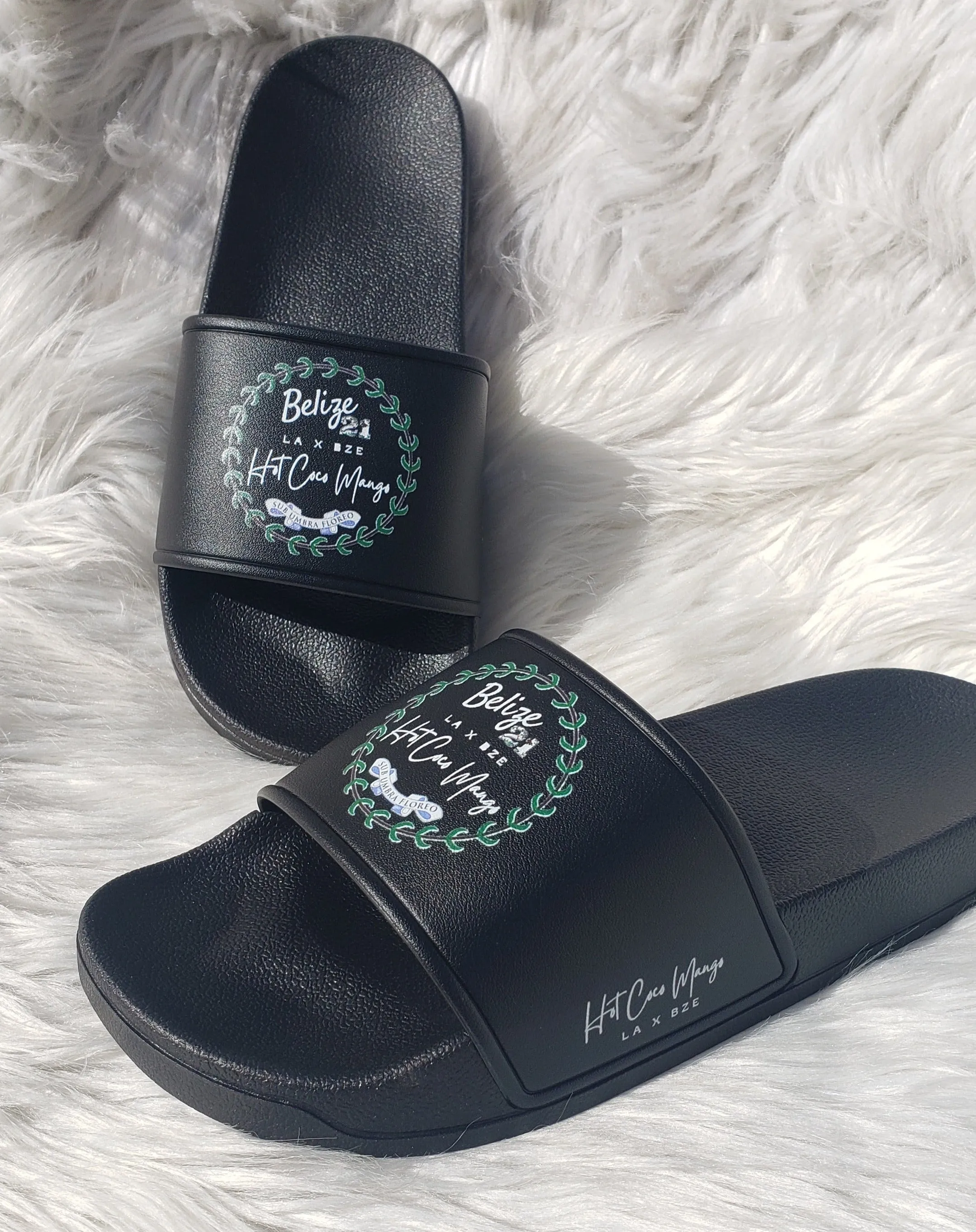 HCM x BZE 21 Slides