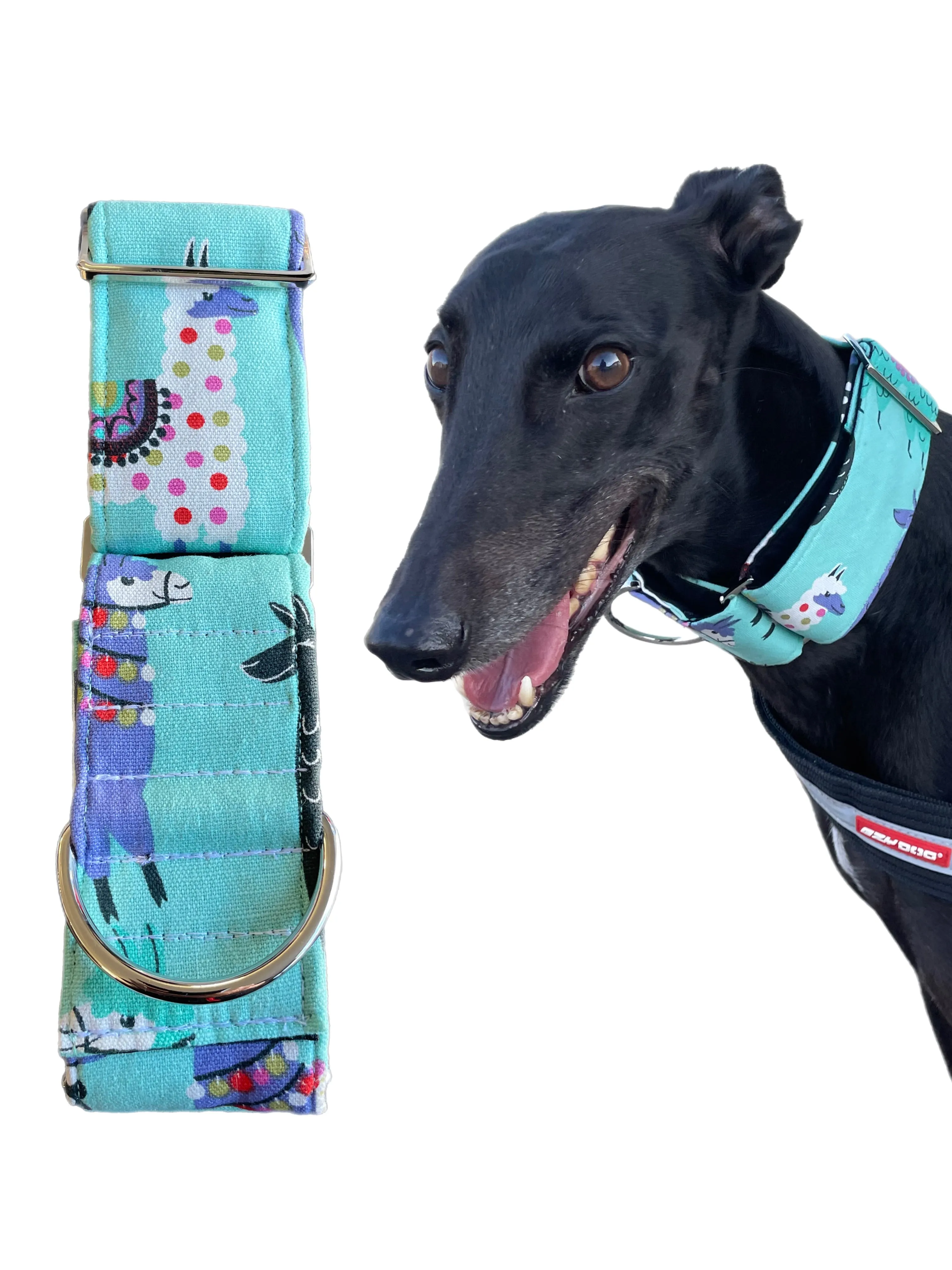 Modern llama greyhound Martingale collar cotton covered 50mm width