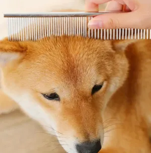 NEW Stainless Steel Finishing Comb for Dogs and Cats, Durable Pet Grooming Tool for Normal Hair, Long and Thick Fur Detangling Brush