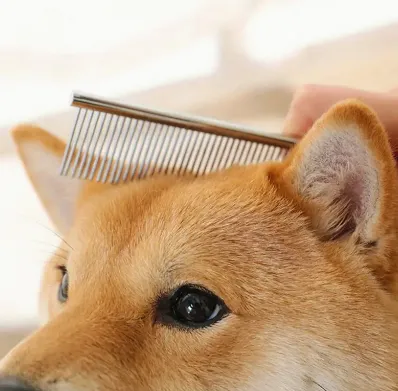 NEW Stainless Steel Finishing Comb for Dogs and Cats, Durable Pet Grooming Tool for Normal Hair, Long and Thick Fur Detangling Brush