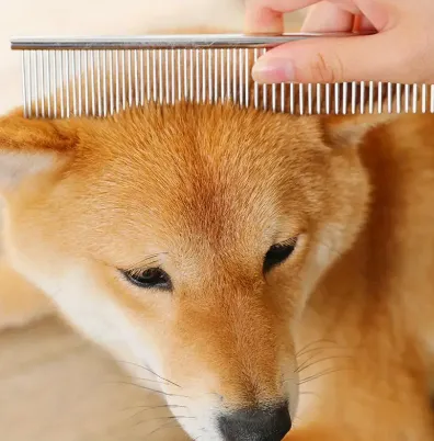 NEW Stainless Steel Finishing Comb for Dogs and Cats, Durable Pet Grooming Tool for Normal Hair, Long and Thick Fur Detangling Brush
