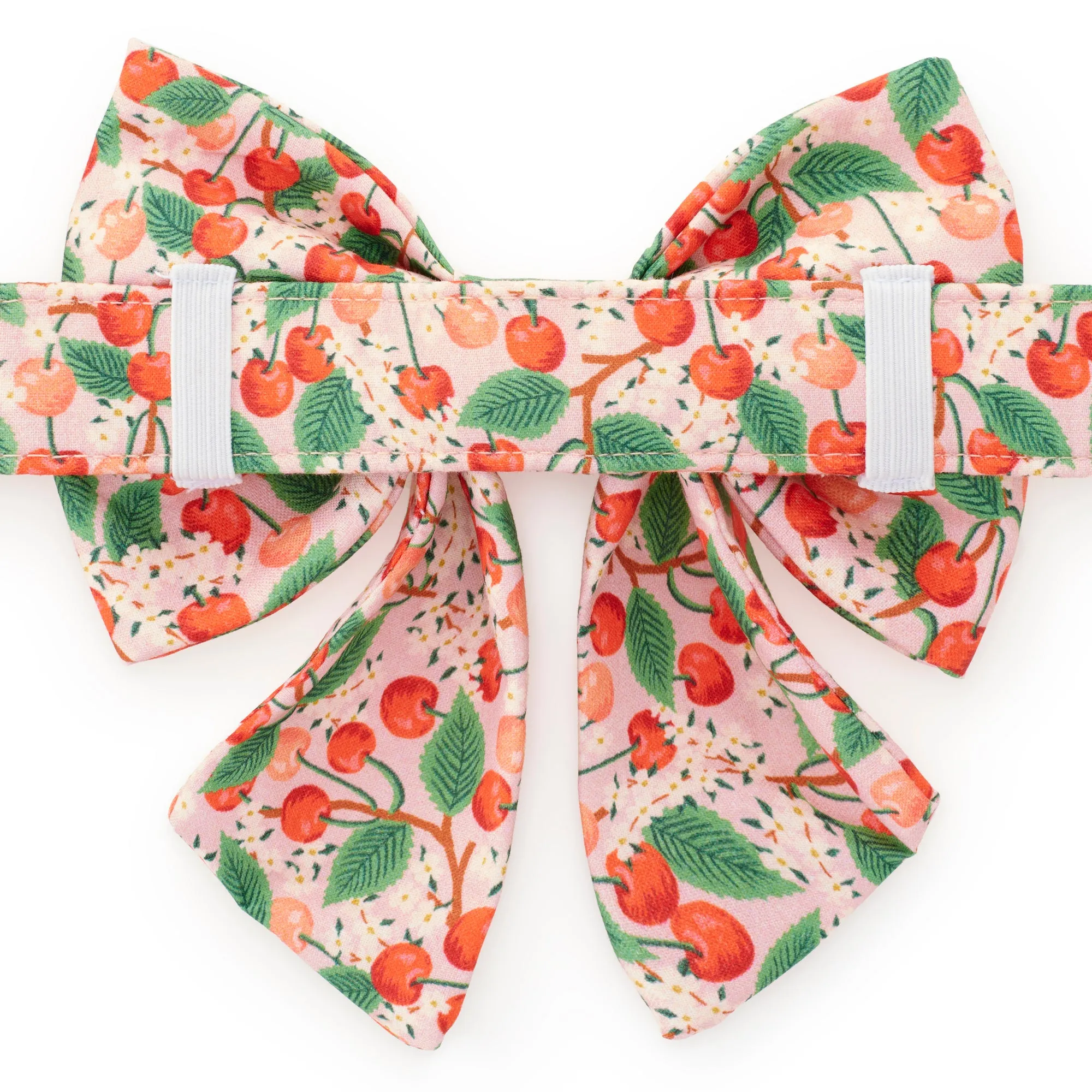 Rifle Paper Co. x TFD Cherry Blossom Lady Dog Bow
