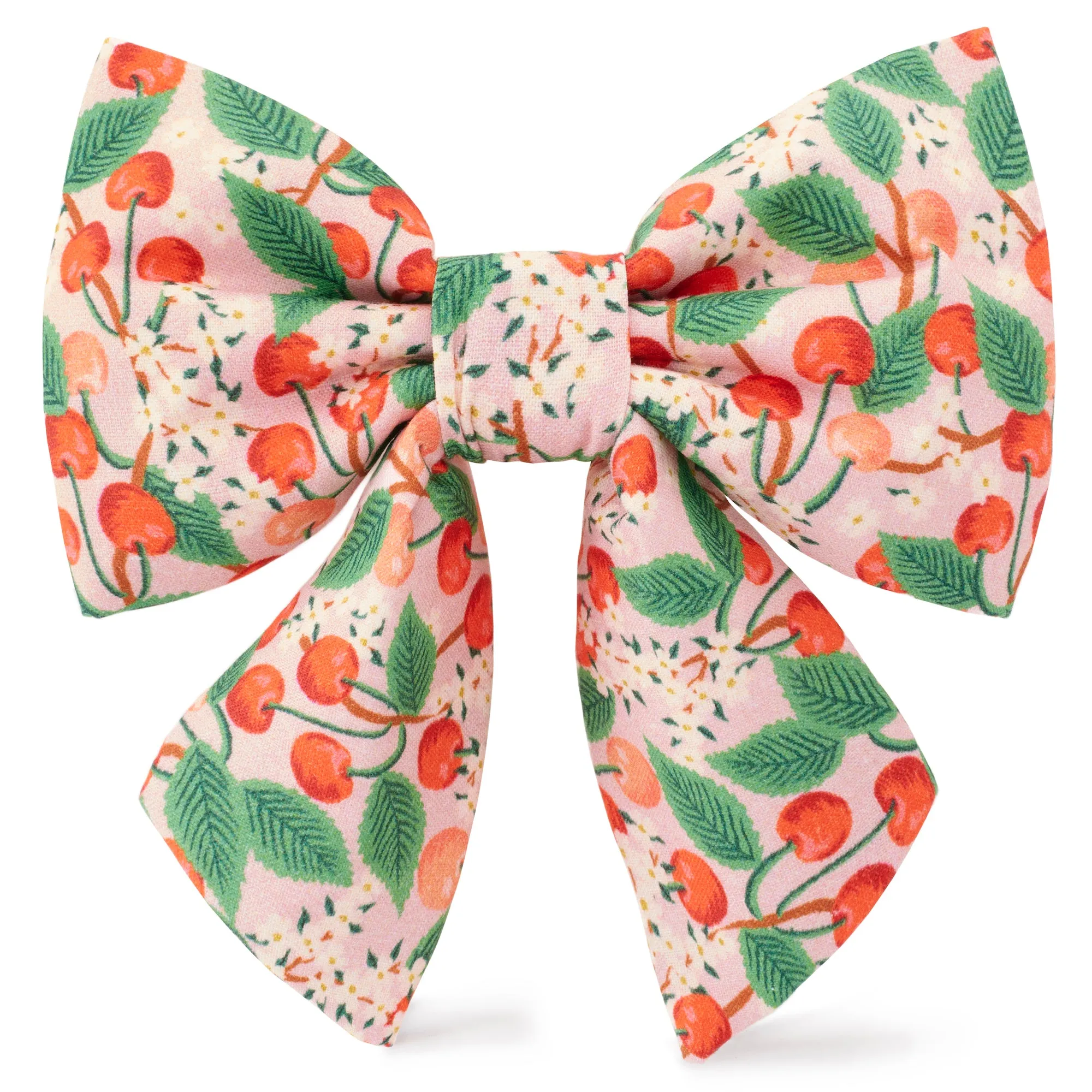 Rifle Paper Co. x TFD Cherry Blossom Lady Dog Bow