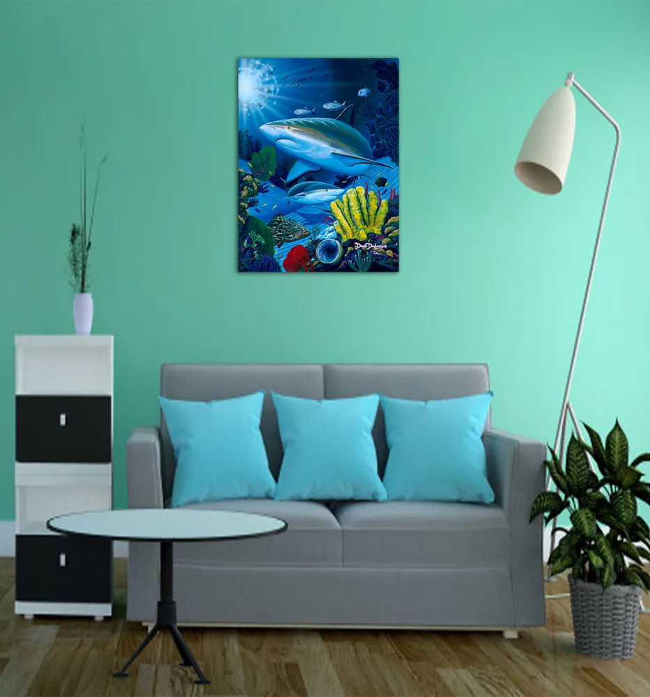 Shark Fest