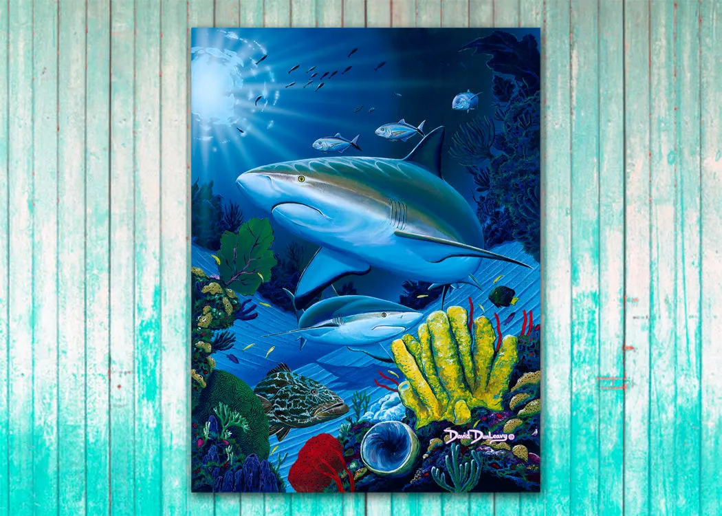 Shark Fest