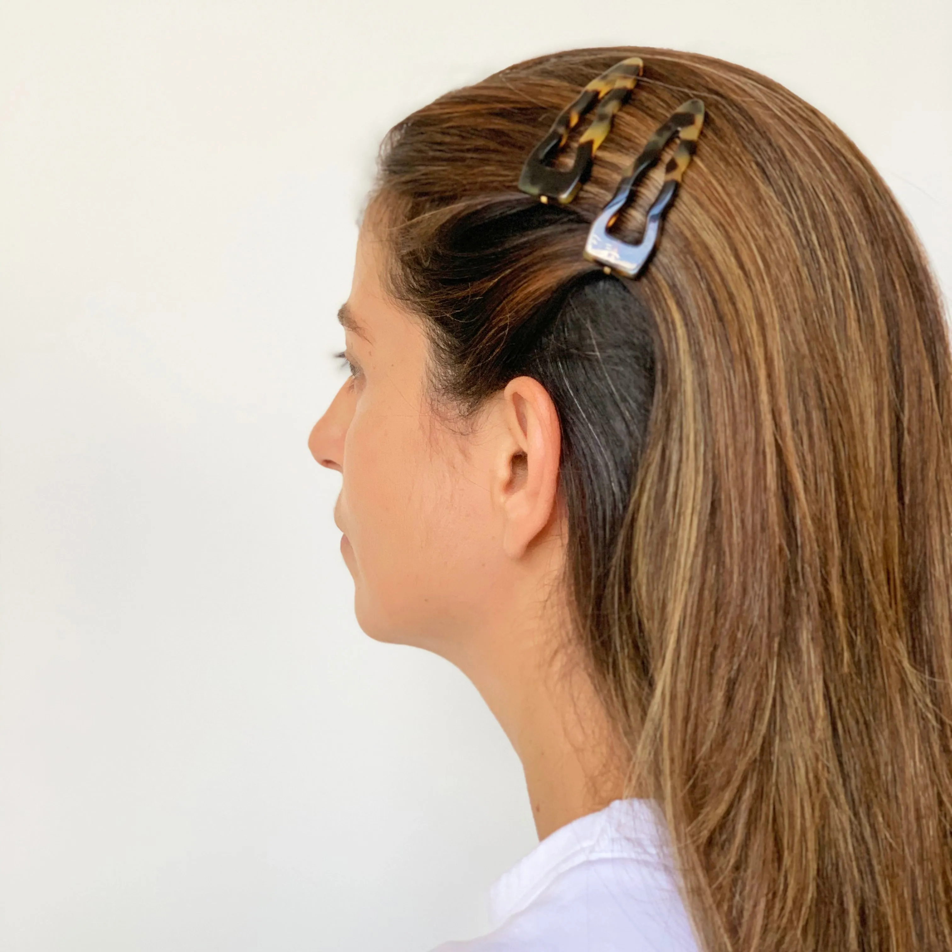 Tree Light Tortoiseshell Hair Slide Set