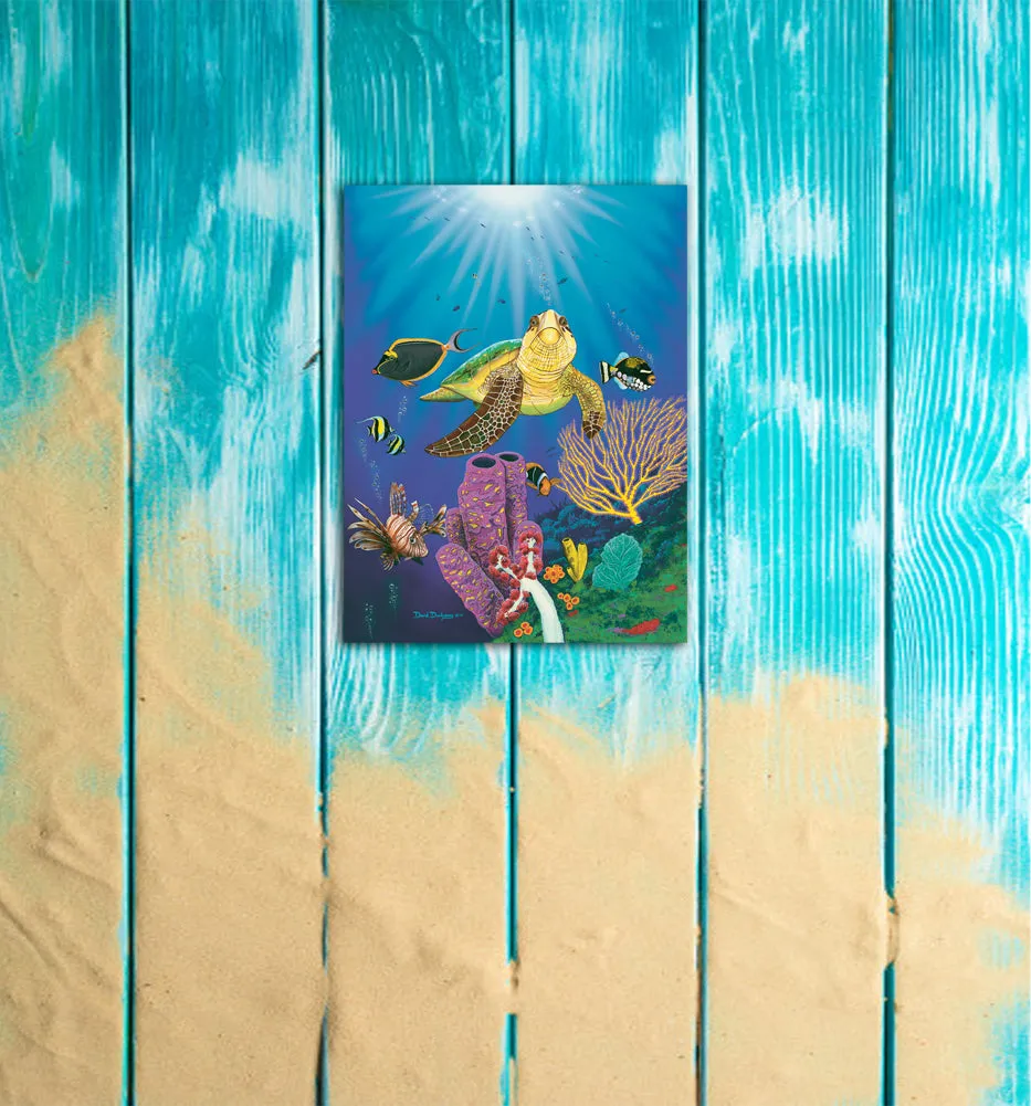 Turtle Reef 2