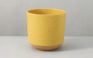 Yellow Hive Ceramic Plant Pot