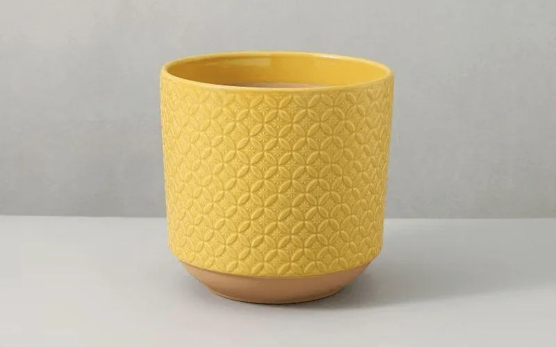 Yellow Hive Ceramic Plant Pot